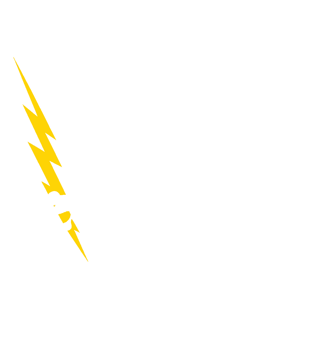 Gallowglass Electrical Contracting lion crest